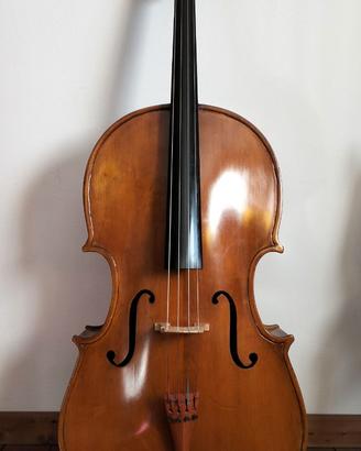 violoncello