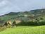 Immagine 11