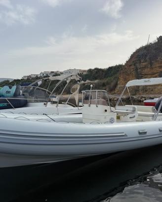 Gommone BWA 750 con motore Suzuki 250 cv