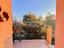 Immagine 20