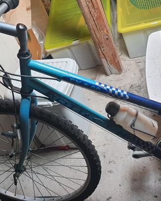 Bicicletta