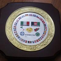 STORICO CREST ISAF NATO AFGHANISTAN