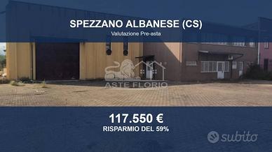 Immobile in asta di 740 m² a Spezzano Albanese
