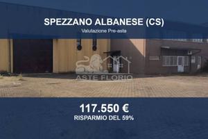 Immobile in asta di 740 m² a Spezzano Albanese