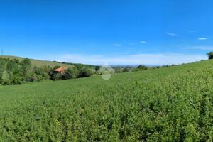 RUSTICO A CASALE MONFERRATO