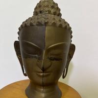 Testa Buddha antica in bronzo primi 900 antiquaria
