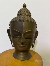 Testa Buddha antica in bronzo primi 900 antiquaria