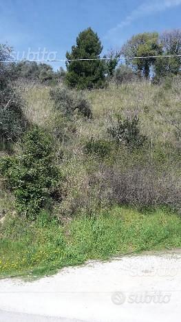 Terreno agricolo confine tra Pescara e S.G.Teatino - Vista 2