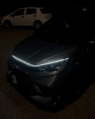 Modifiche estetiche microcar