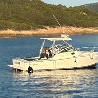 Albemarle 28 express anno 2009 unipro 300h