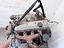 Immagine 26