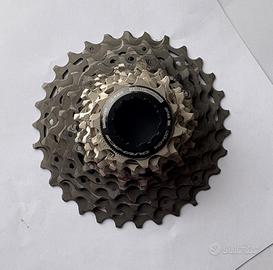 Pignoni Shimano