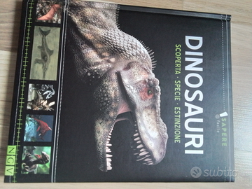 Libro dinosauri