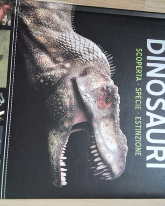 Libro dinosauri
