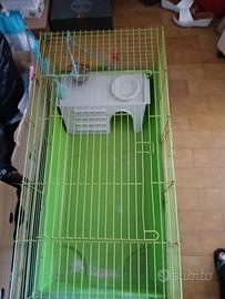gabbia grande per conigli ho gattini!