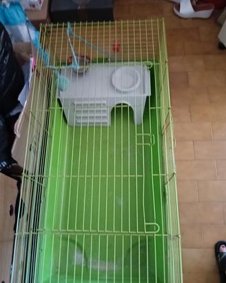 gabbia grande per conigli ho gattini!