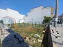 terreno-agricolo-ugento-53s-caterinavrg-ugento