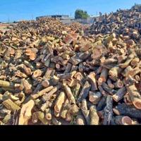 legna da ardere a domicilio