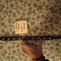 Collarino in pelle nero con stelline per cane.