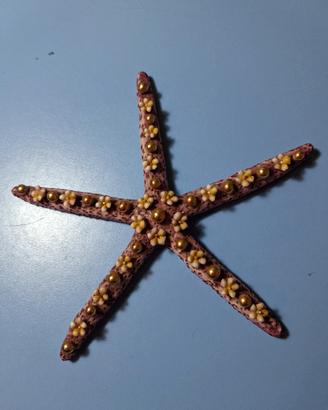 Stella marina Capodimonte da collezione 