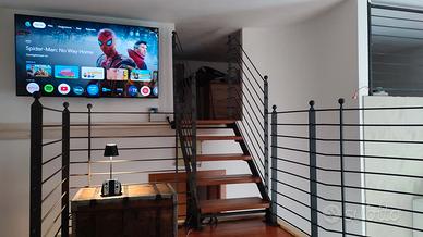 TV TCL 65C805 QD-MiniLED da riparare