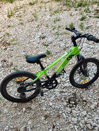 Bicicletta 