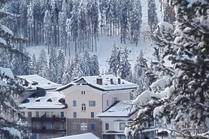 Chalet a Carezza Bolzano.m1650