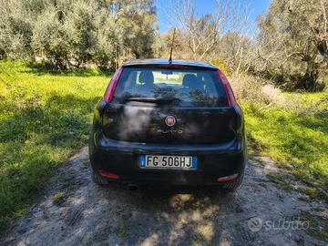fiat punto 