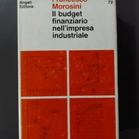 Budget Finanziario nell'Impresa Industriale 1971