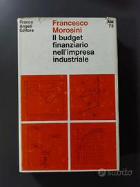 Budget Finanziario nell'Impresa Industriale 1971