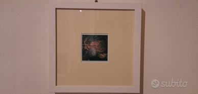 POLAROID Originale Nobuyoshi Araki Norton Gallery