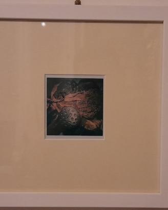 POLAROID Originale Nobuyoshi Araki Norton Gallery
