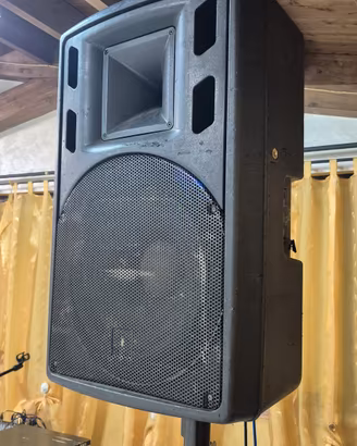 Cassa amplificata DAD Live 15 