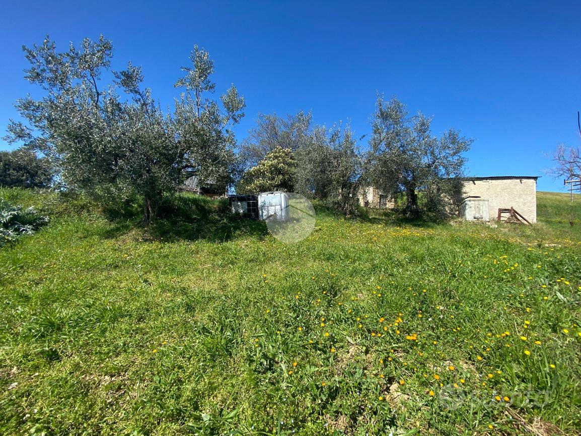 RUSTICO A OFFIDA - Vista 4