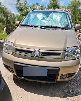 Fiat Panda Climbing 4x4 Benzina e  GPL