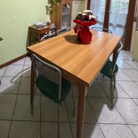 Tavolo in legno+ sedie