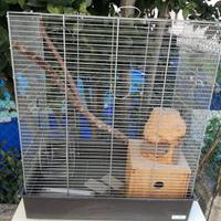 Gabbia scoiattoli roditori con accessori e casetta