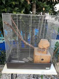 Gabbia scoiattoli roditori con accessori e casetta