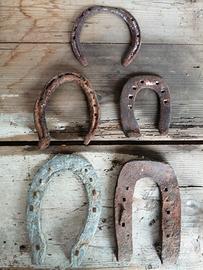 ferri da cavallo. 