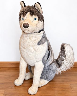 Peluche