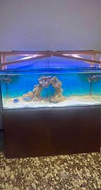 Acquario marino vasca e mobile di supporto e sump