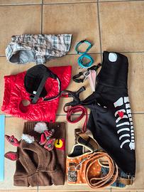 9 pz accessori cane (bassotto 7 kg )