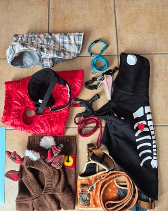 9 pz accessori cane (bassotto 7 kg )