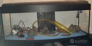 Acquario con vetro Curvo 100 Litri Completo