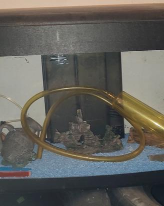 Acquario con vetro Curvo 100 Litri Completo