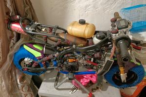 Stamas minimoto