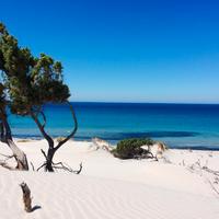 PORTO PINO - Villetta bifamiliare