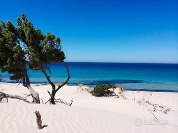 PORTO PINO - Villetta bifamiliare