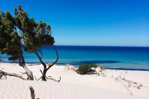 PORTO PINO - Villetta bifamiliare