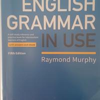 libro english grammar in use
